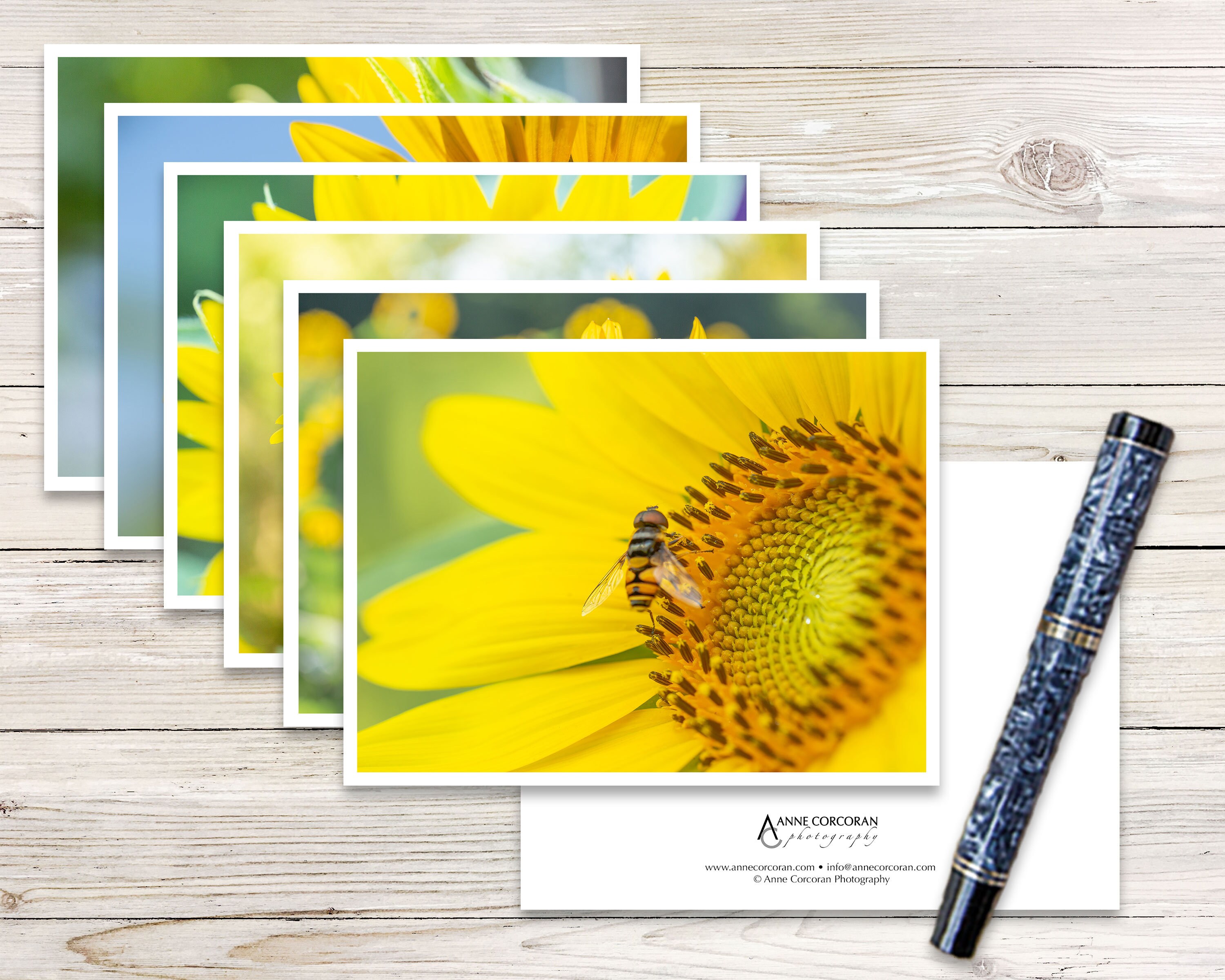 Sunflower Note Cards set of 6, Photo Note Card Set, Blank Note Cards