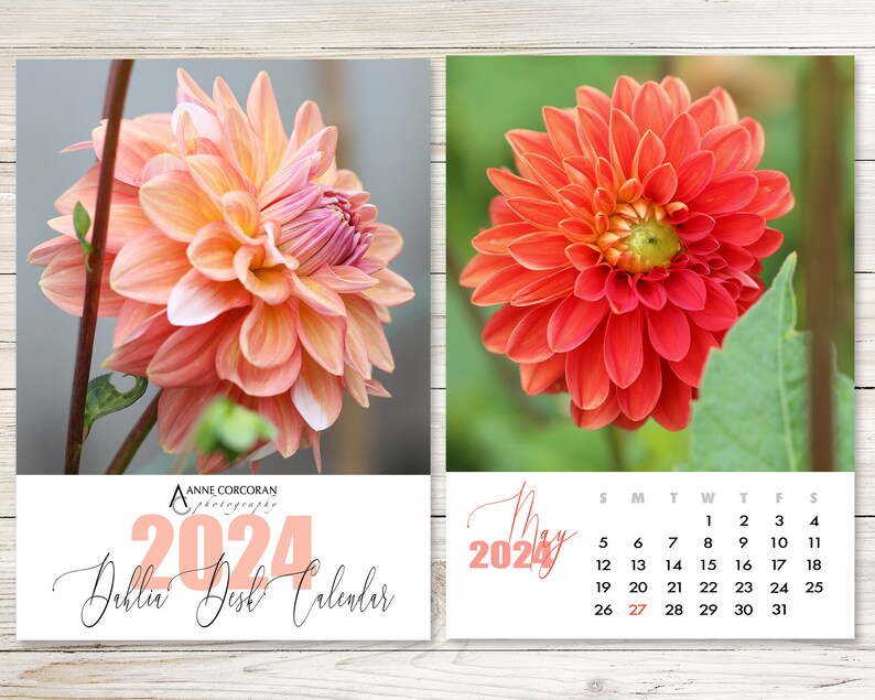 2024 Dahlia Desk Calendar 5x7, 2024 Calendar, Photo Calendar 2024