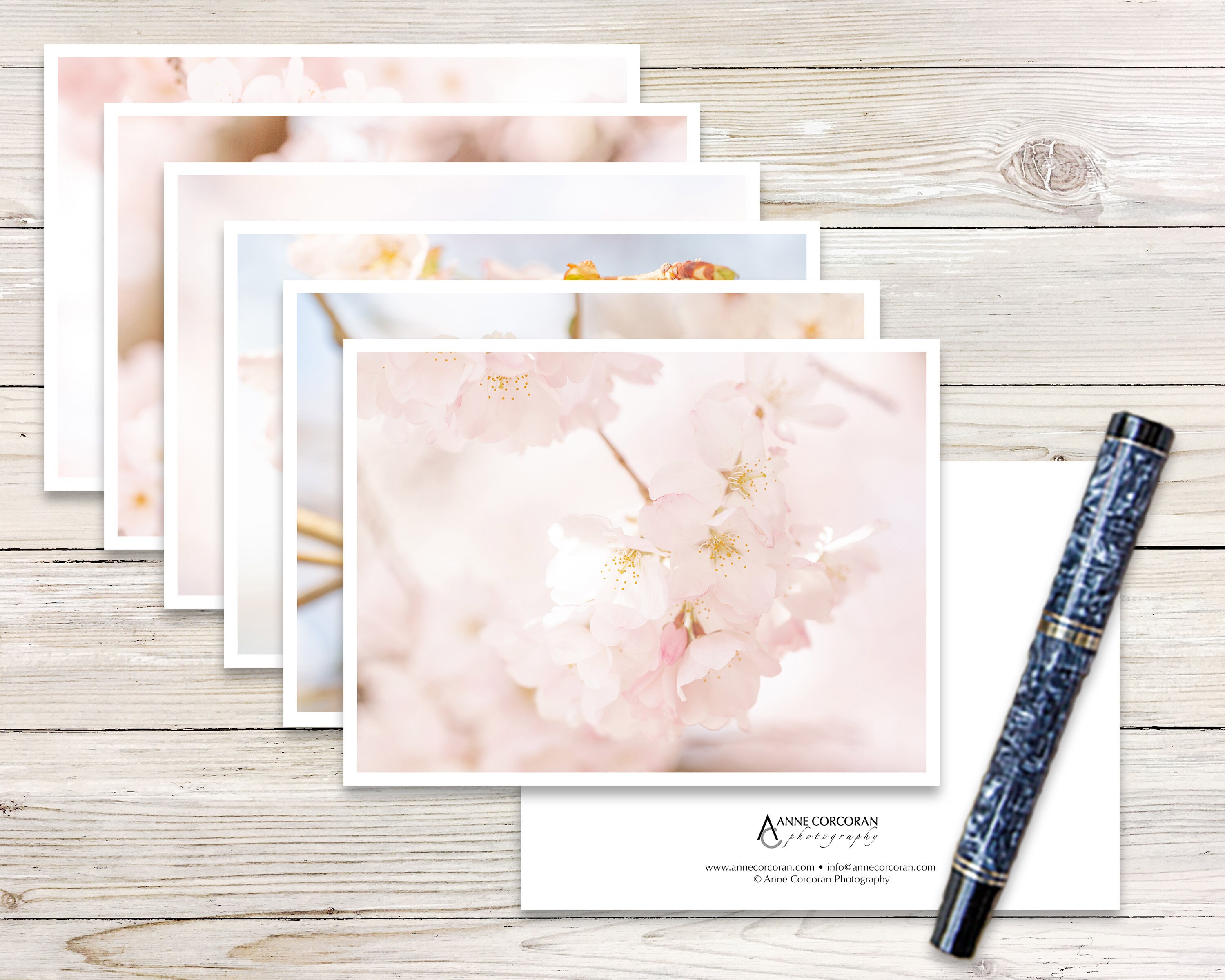 Cherry Blossom Photo Note Card Set, Botanical Spring Cards - Etsy