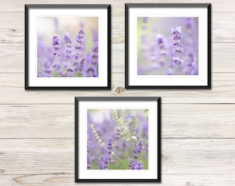Lavender Fields Photo Set of 3, Floral Wall Art (Digital Download)