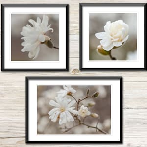 Magnolia Blossom Set of 3 Photos Instant Download, Printable Photo Wall Art Set, Gallery Wall, Magnolia Flower, Digital Download Photography