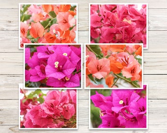 Bougainvillea Photo Note Cards, Tropical Floral Cards (Set of 6)