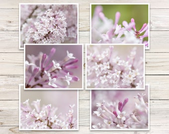 Lilac Flower Photo Note Cards, Set of 6