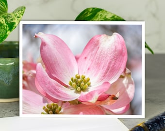 Pink Dogwood Flower Greeting Card, All Occasion Card