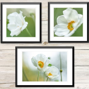 Wildflower Set of 3 Photos Instant Download, Printable Photo Wall Art Set, Gallery Wall, White Anemone Flower Digital Download Photography