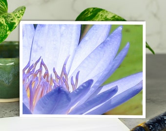 Blue Lotus Greeting Card, Blue Flower Greeting Card, Lotus Blossoms Card, Card with Envelope, Blank Card, Set of Cards