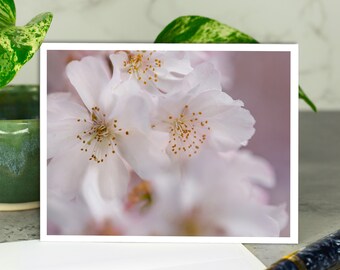 Cherry Blossom Greeting Card, Flower Greeting Card, Cherry Blossoms Card, Card with Envelope, All Occasion Card, Any Occasion Card