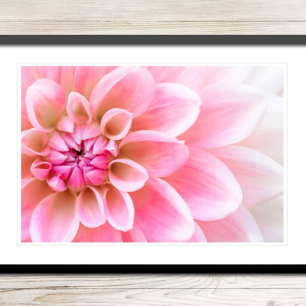 Pink Dahlia Flower Photo Instant Download, Printable Photo Wall Art, Dahlia Print, Dahlia Art Print, Digital Download Photography