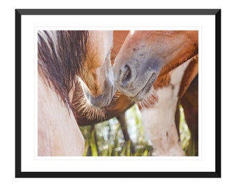Wild Ponies Photo Print, Fine Art, Wall Art, Home Decor
