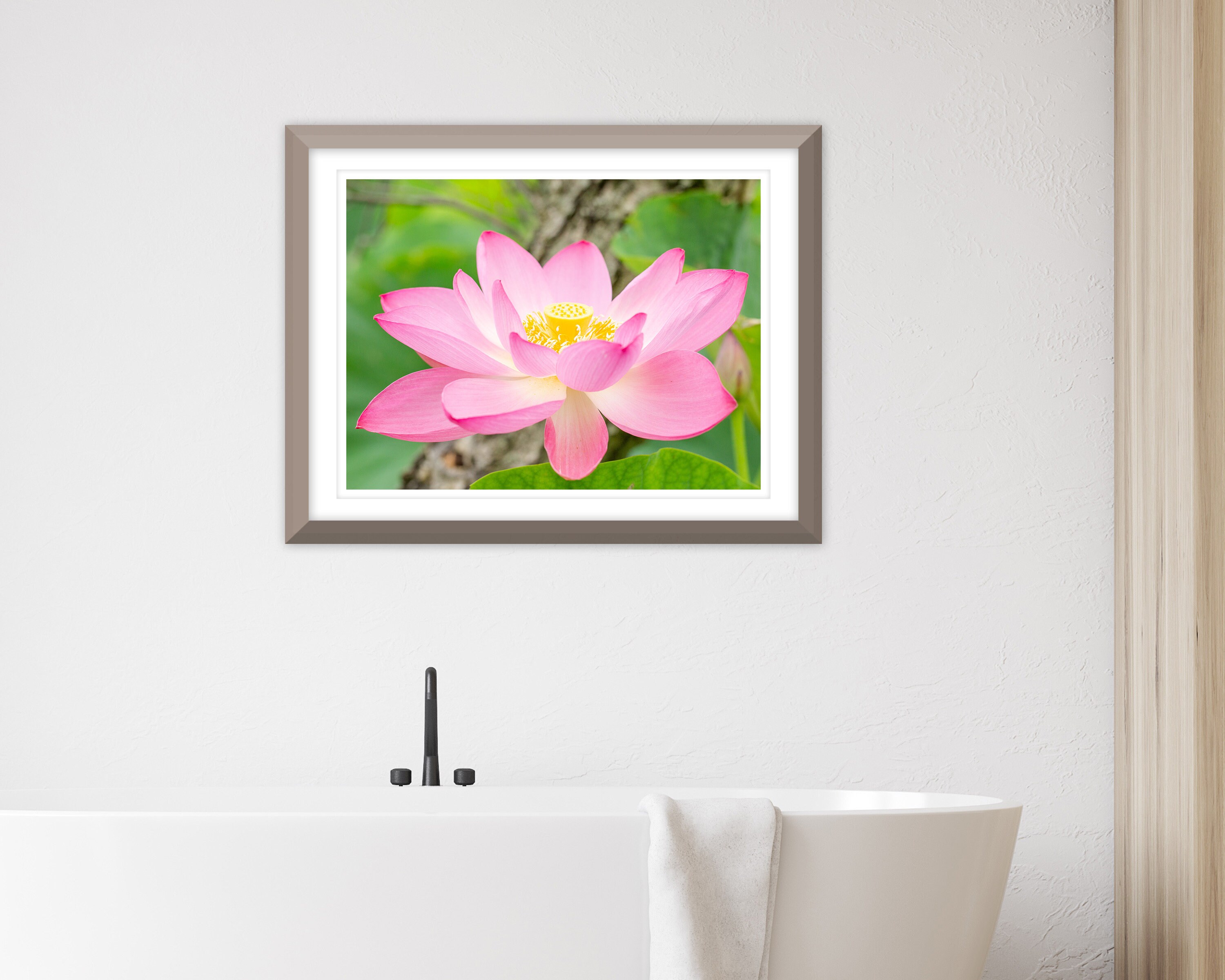 Pink Lotus Flower Photography Print, Blossom Wall Art - Etsy