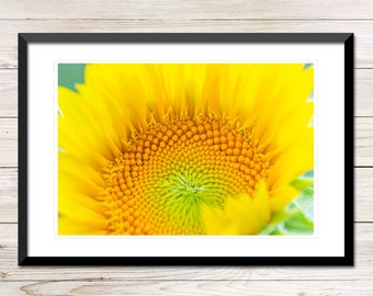 Sonnenblume Nahaufnahme Foto, druckbare Wandkunst (digitaler Download)