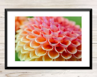 Rust Bucket Beauty Dahlia Photo, Printable Floral Wall Art (Digital Download)