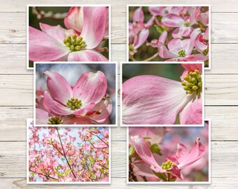 Pink Dogwood Flower Photo Note Cards, Set of 6