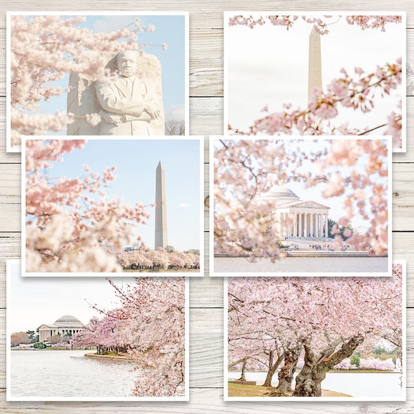 DC Cherry Blossoms Note Cards (Set of 6), Washington DC Cards, Blank Note Cards with Envelopes, Spring Cards, Botanical Note Card Set