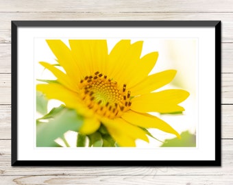 Sonnenblume Foto Druck, lebendige gelbe Blumen Wand Kunst (Digitaler Download)