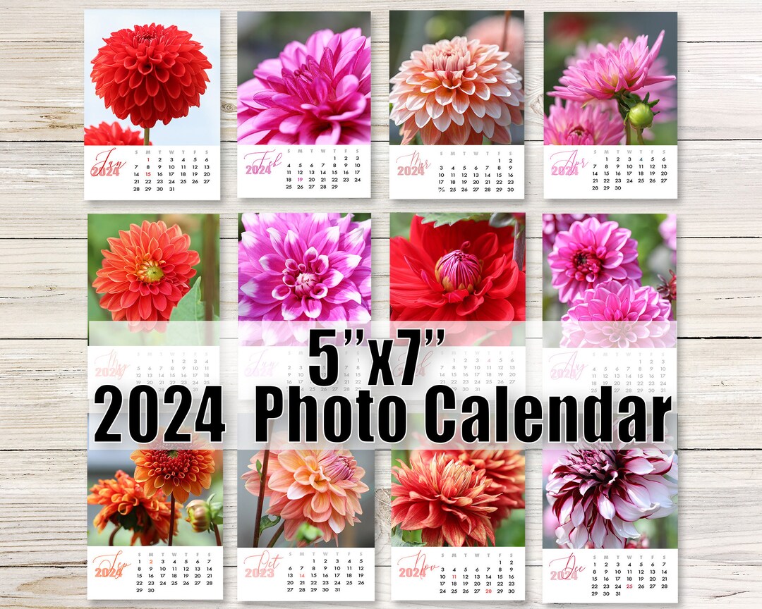 2024 Dahlia Desk Calendar 5x7 2024 Calendar Photo Etsy