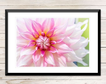 Dahlia Flower Photo Art Printable, White and Pink (Digital Download)