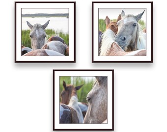 Wild Ponies Gallery Wall Collage (Set of 3 Photo Prints), Wall Art, Home Decor
