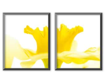 Daffodil Dance Split Photo Print Set, Gallery Wall Art