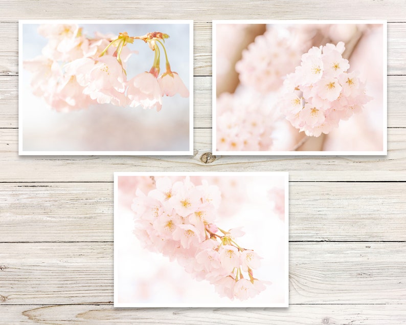 Cherry Blossom Note Cards set of 6 Photo Note Card Set Etsy