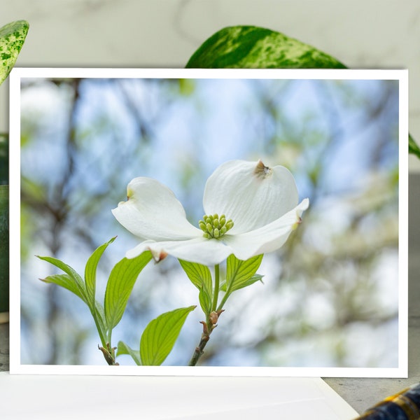 White Dogwood Greeting Card, Flower Greeting Card, Dogwood Blossoms Card, Card with Envelope, All Occasion Card, Any Occasion Card