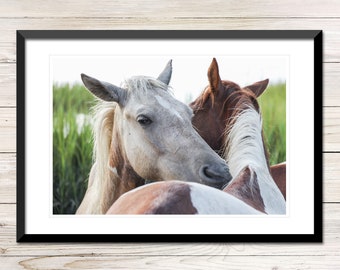 Chincoteague Pony Printable Photo, Misty's Cousins, Wild Horses Wall Art (Digital Download)