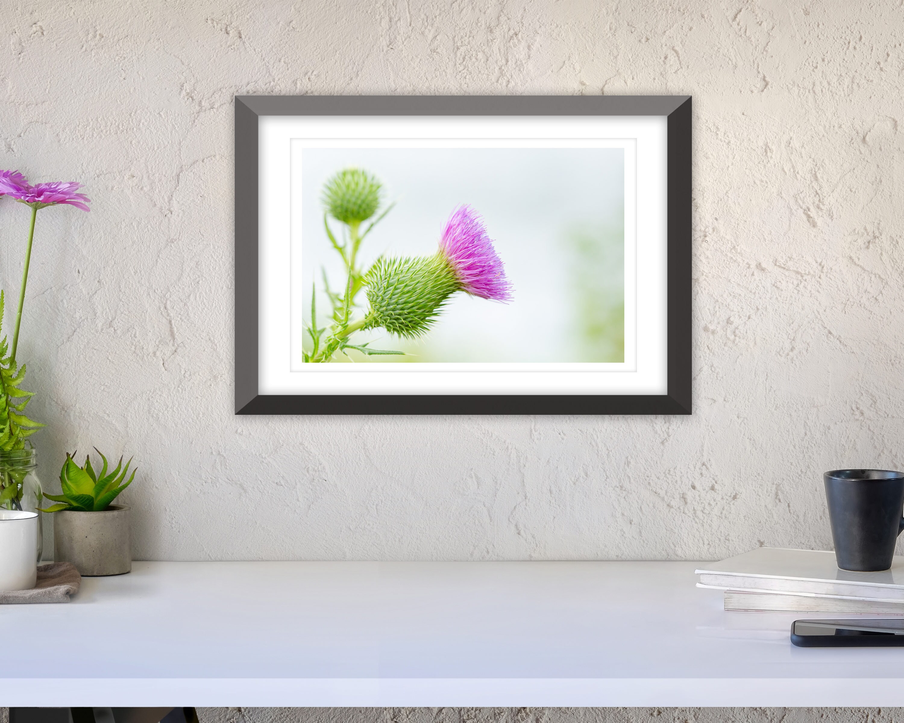 Thistle Photo Instant Download, Printable Photo Wall Art, Thistle Print