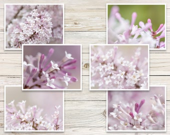 Lilac Photo Note Cards (Set of 6), Lilac Notecards, Photo Note Cards, Nature Blank Cards, Blank Photo Cards, Blank Note Cards with Envelopes
