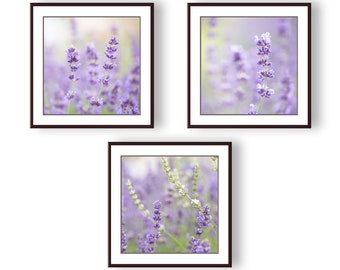Lavender Fields Botanical Photo Print Set, Gallery Wall Art