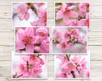 Peach Blossom Photo Note Card Set, Floral Greeting Cards