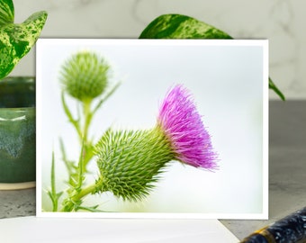 Thistle Greeting Card, Flower Greeting Card, All Occasion Card, Card with Envelope, Floral Greeting Card, Any Occasion Card, Bull Thistle