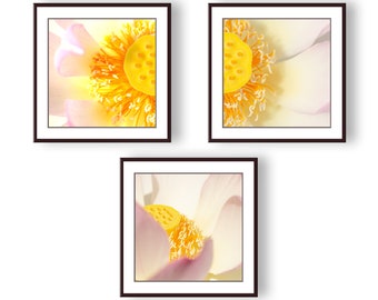Lotus Flower Photo Print Set, Botanical Wall Art