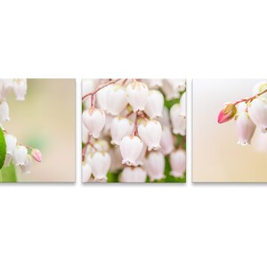 Spring Blossoms Gallery Wall Collage (Set of 3 Photo Prints), Wall Art, Home Decor