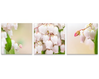 Spring Blossoms Gallery Wall Collage (Set of 3 Photo Prints), Wall Art, Home Decor