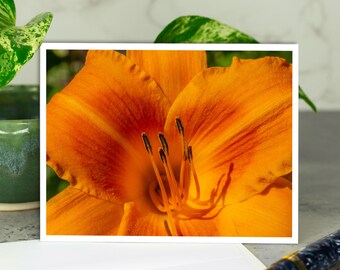 Orange Lily Flower Greeting Card, Floral Notecard with Envelope