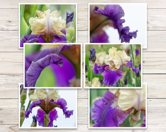 Purple Iris Photo Note Cards, Floral Blank Cards (Set of 6)