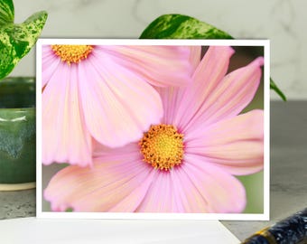 Pink Cosmos Flower Greeting Card, Photo Note Card