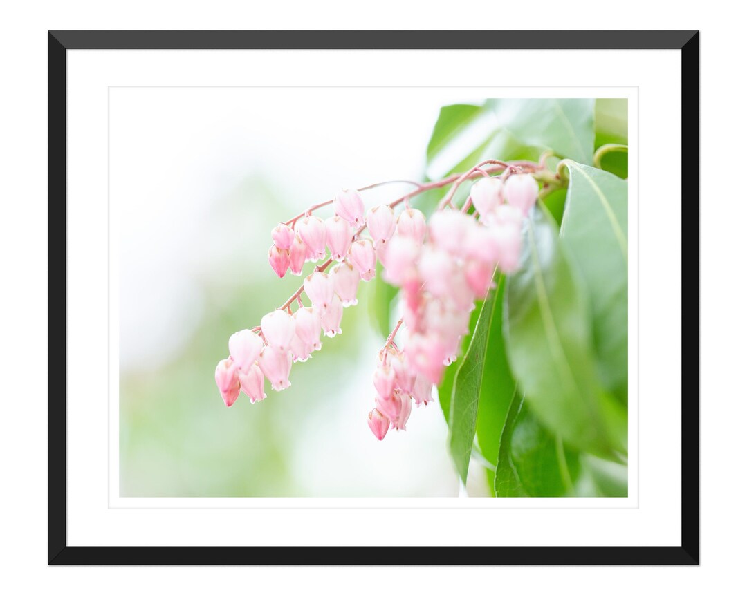 Spring Photo Print Spring Photo Print Wall Art, Girl's Bedroom Decor, Home Decor - Etsy