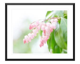 Spring Photo Print Wall Art, Girl's Bedroom Decor, Home Decor