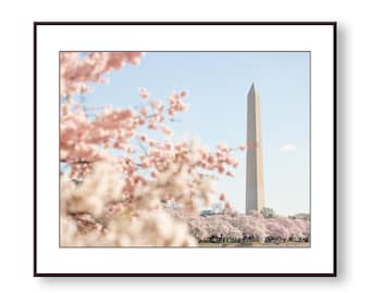 Washington, DC Cherry Blossom Photo Print, Fine Art, Wall Art, Home Decor