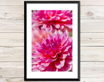 Pink Dahlia Flower Photo, Printable Floral Wall Art (Digital Download)