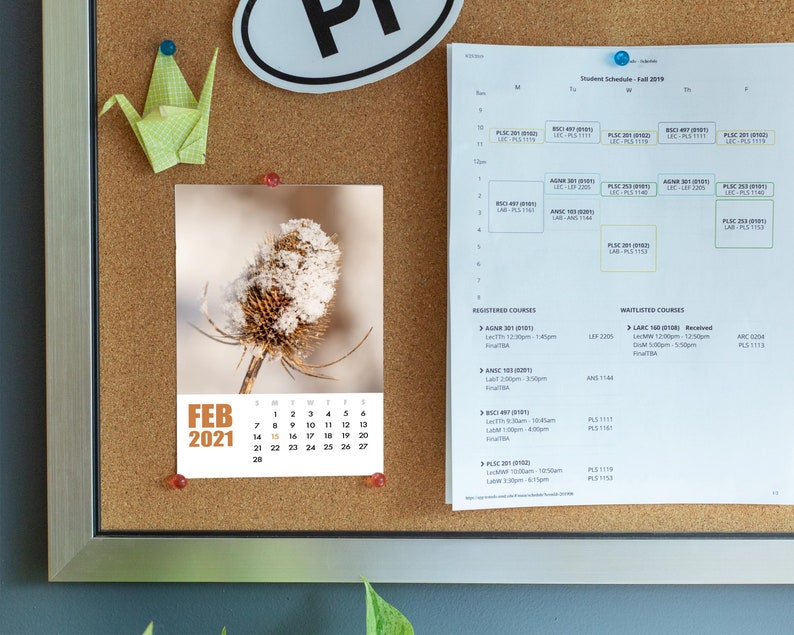 Printable 2021 Botanical Desk Calendar 5x7 2021 Calendar ...