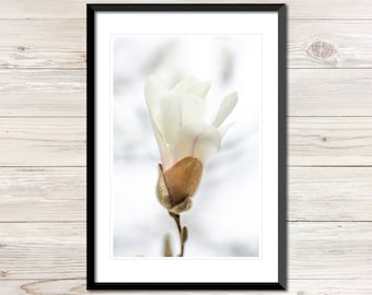 Blühende Magnolie Foto, druckbare botanische Wandkunst (digitaler Download)
