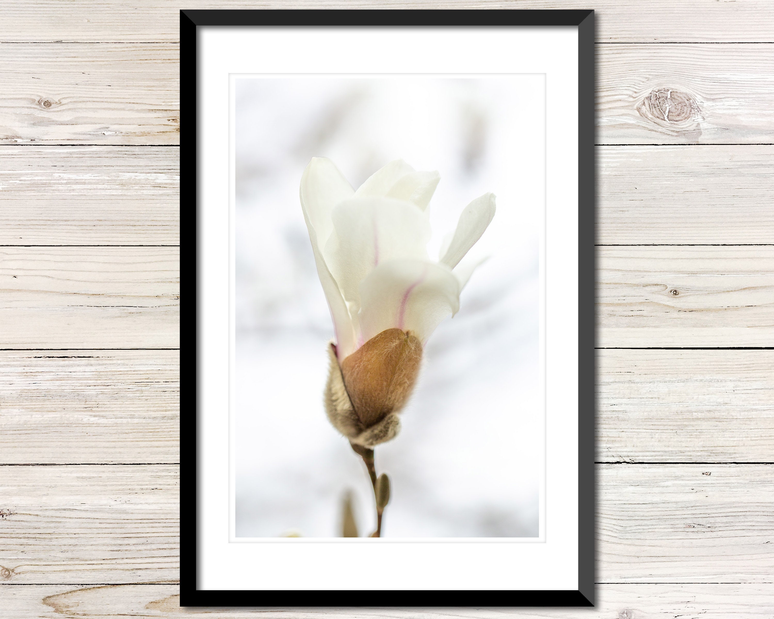 Printable Magnolia Photo, Instant Download, Printable Photo Wall Art ...