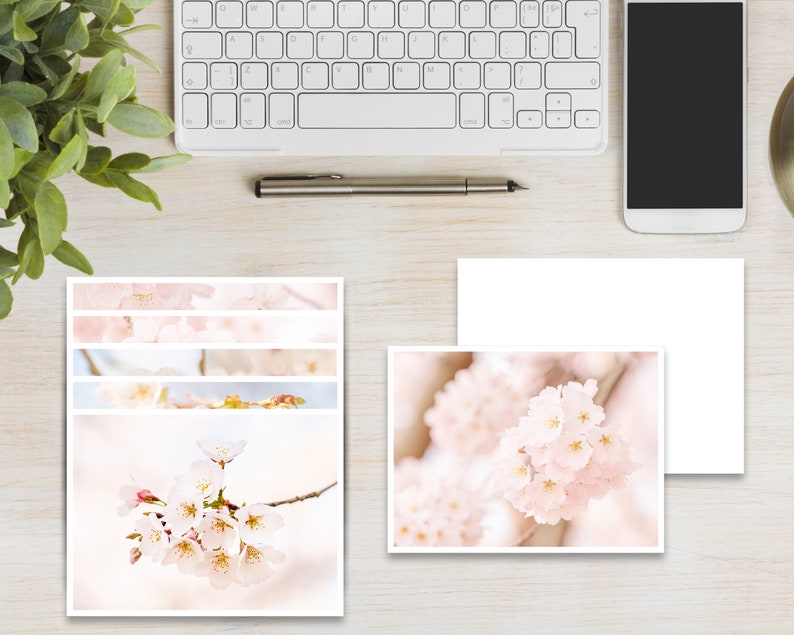 Cherry Blossom Note Cards set of 6 Photo Note Card Set Etsy