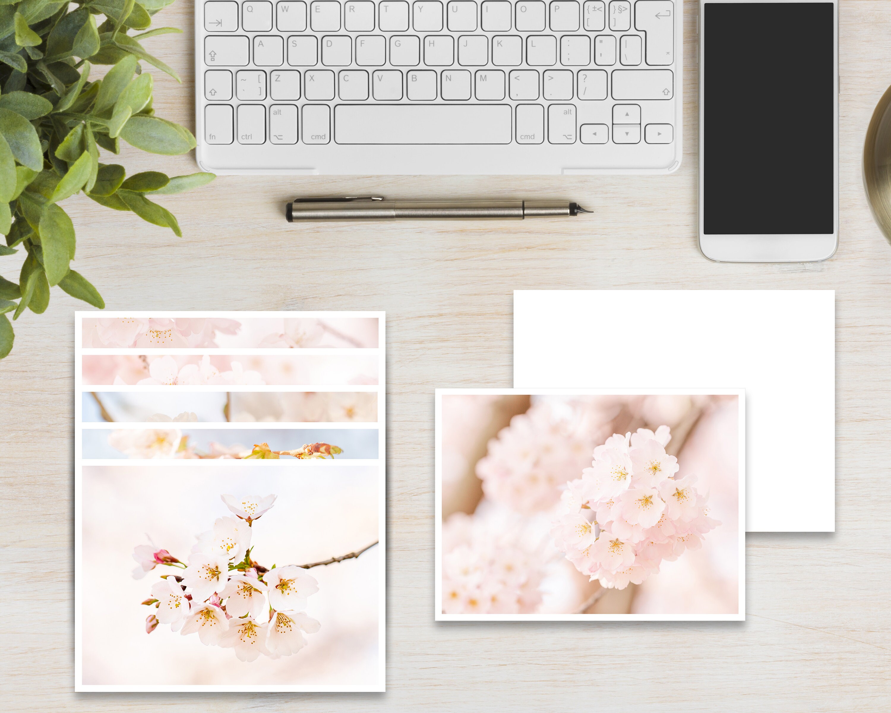 Cherry Blossom Photo Note Card Set, Botanical Spring Cards - Etsy
