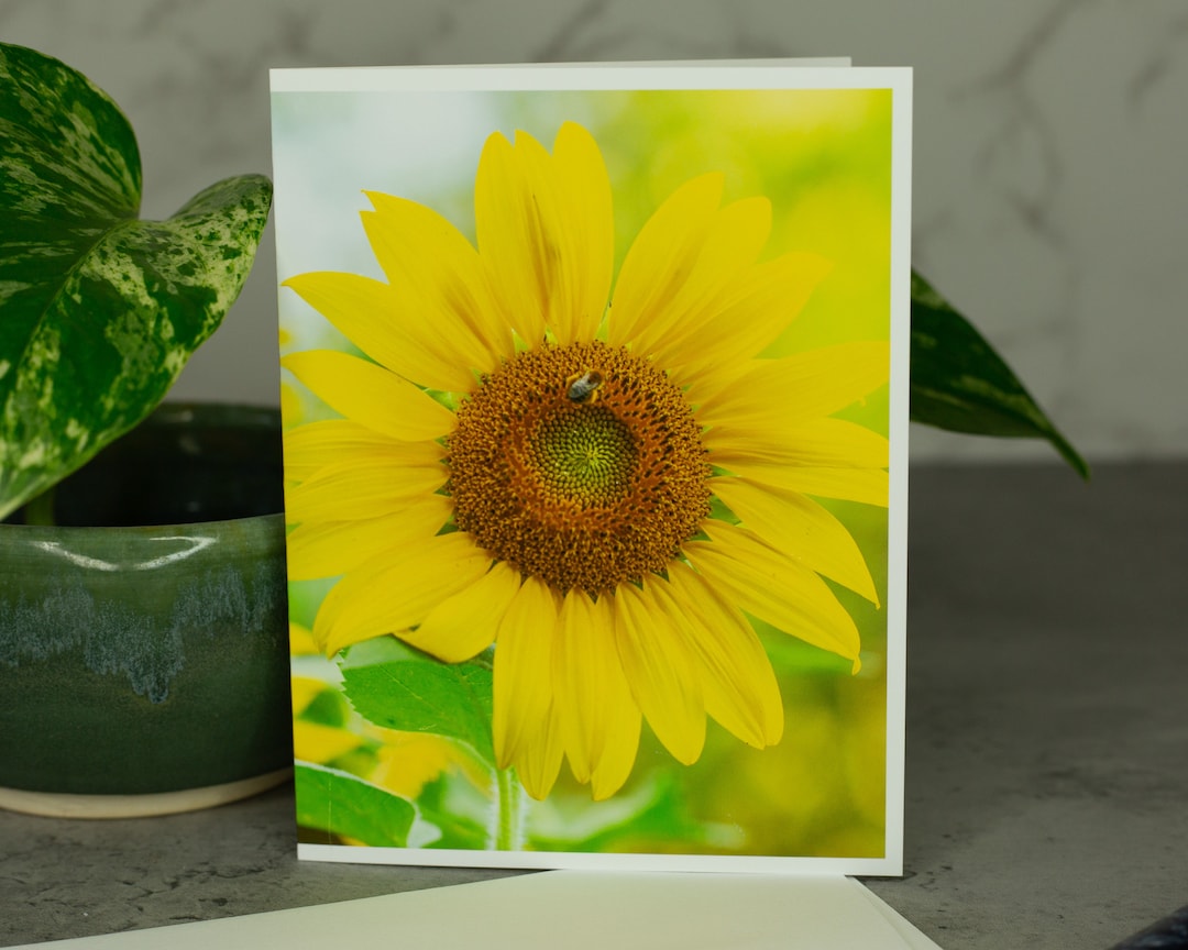 Sunflower Photo Greeting Card, Blank Inside, Floral Note Card - Etsy