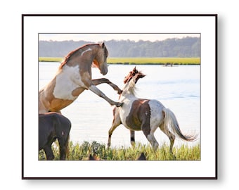 Wild Ponies Photo Print, Fine Art, Wall Art, Home Decor