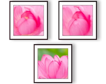 Hot Pink Lotus Flower Photography Print Set, Botanical Wall Art