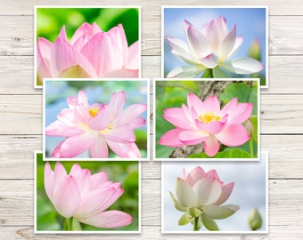 Lotus Blossom Photo Note Cards, Floral Stationery Set